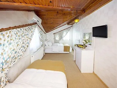 Ottoman Tulip Hotel Стамбул Турция